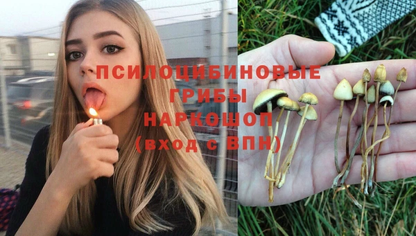 соль ск Бронницы